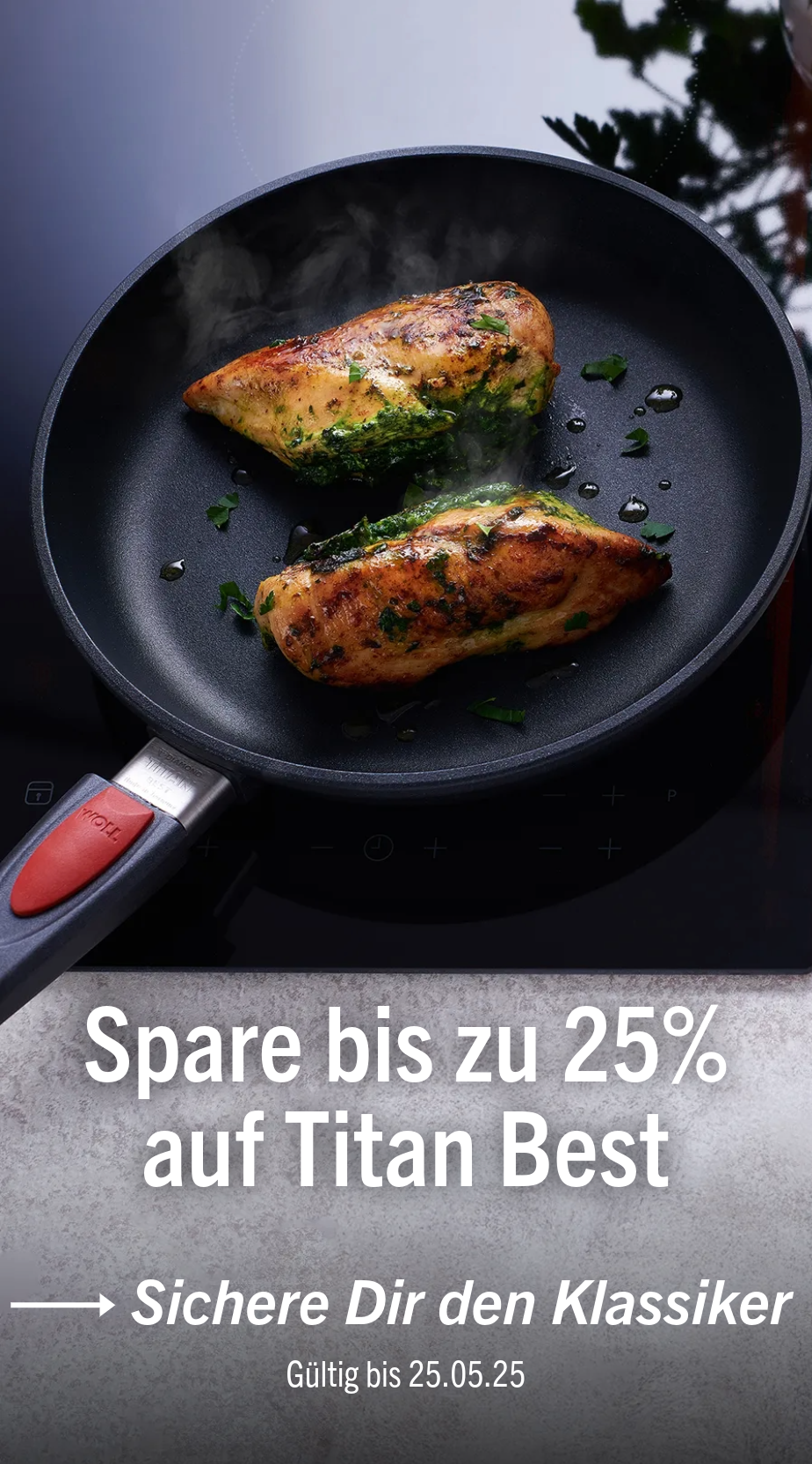 Bis zu 25% auf Titan Best